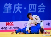 开云APP-关于激战持续，柔道项目波兰选手夺得金牌的信息
