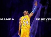 开云APP-霍勒迪攻防转换核心引领风暴，掘金团队火力全开击溃活塞