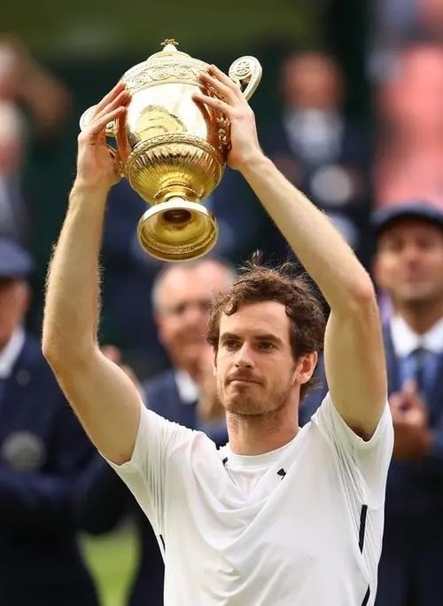 戴维斯杯翻盘ATP总决赛，穆雷惊艳四座的简单介绍