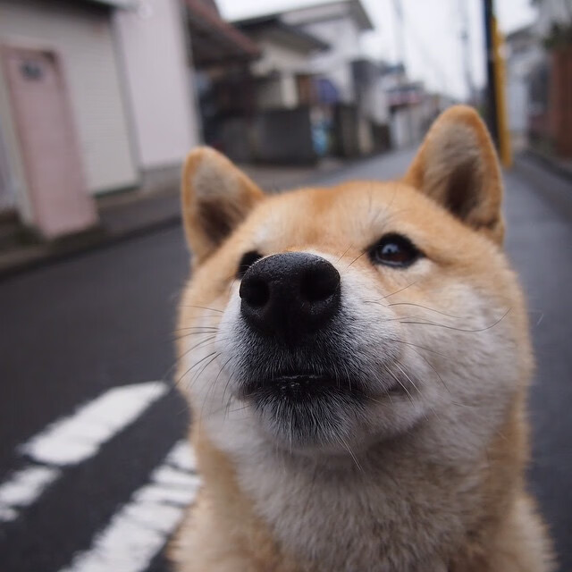 双线传奇,凯尔特人险胜骑士之夜,字母哥在另一战场接管抢七