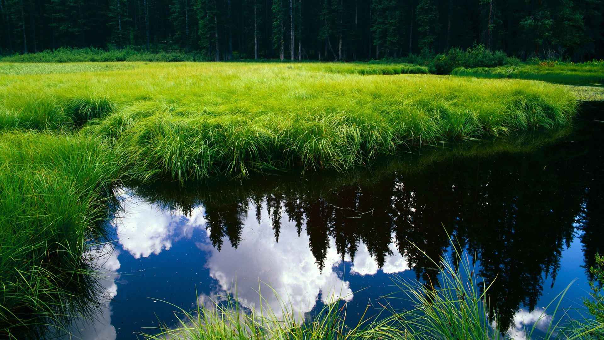 欧冠之夜,努涅斯一剑封喉,皇马险胜莱比锡红牛,用实力打破质疑
