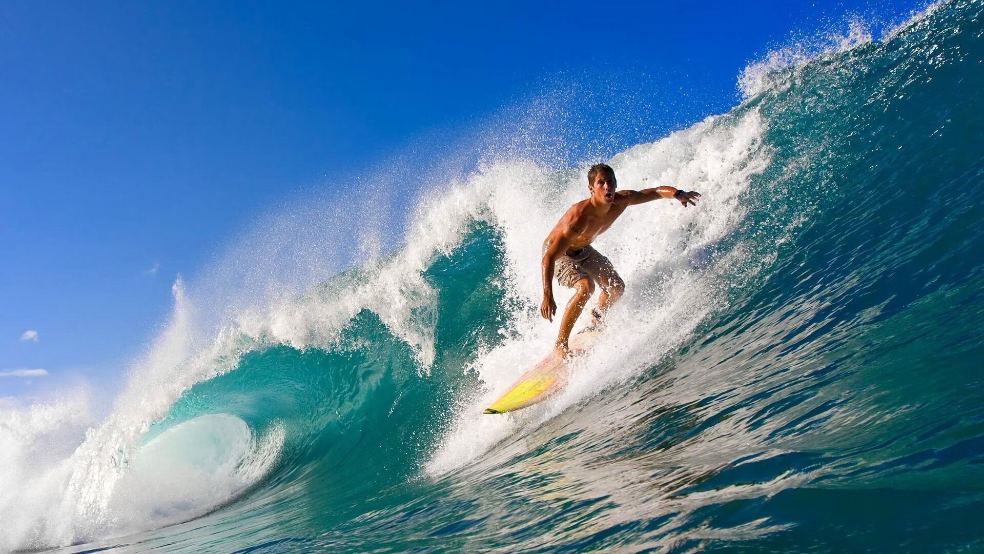 赛道与绿茵场，荷兰的双线胜利哲学